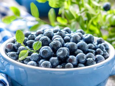 藍莓學名：藍莓，英文：Blueberry