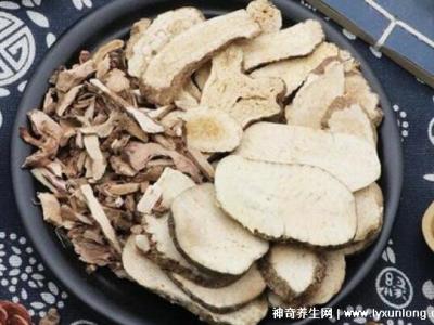 喝澤瀉白術一個月瘦多少斤，10斤起步適合肥胖癥(附減肥配方)